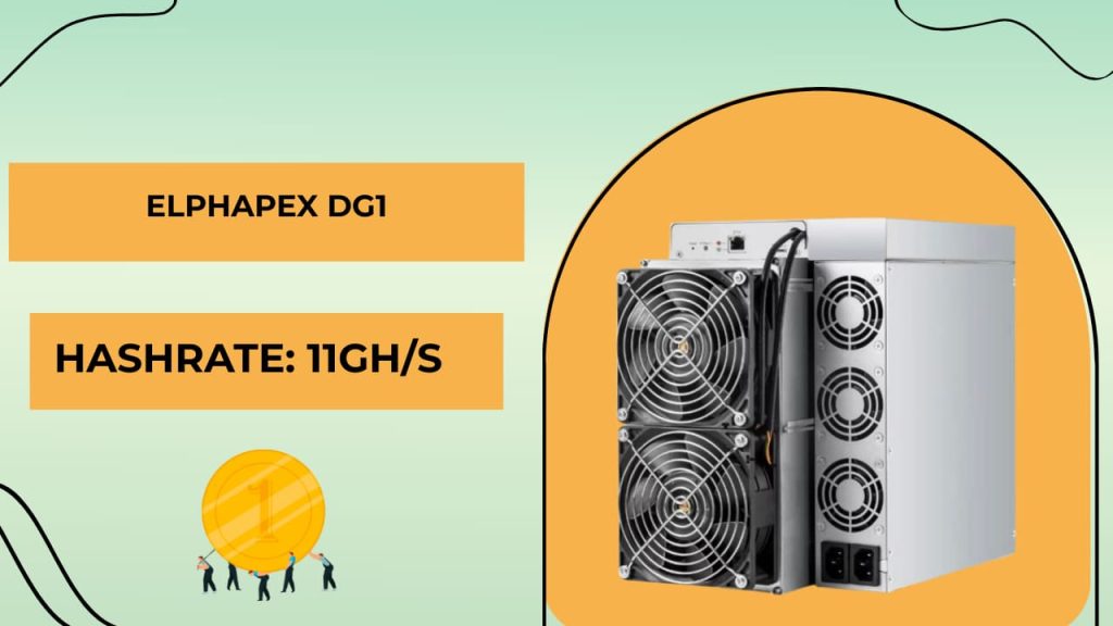 ElphaPex DG1 image
